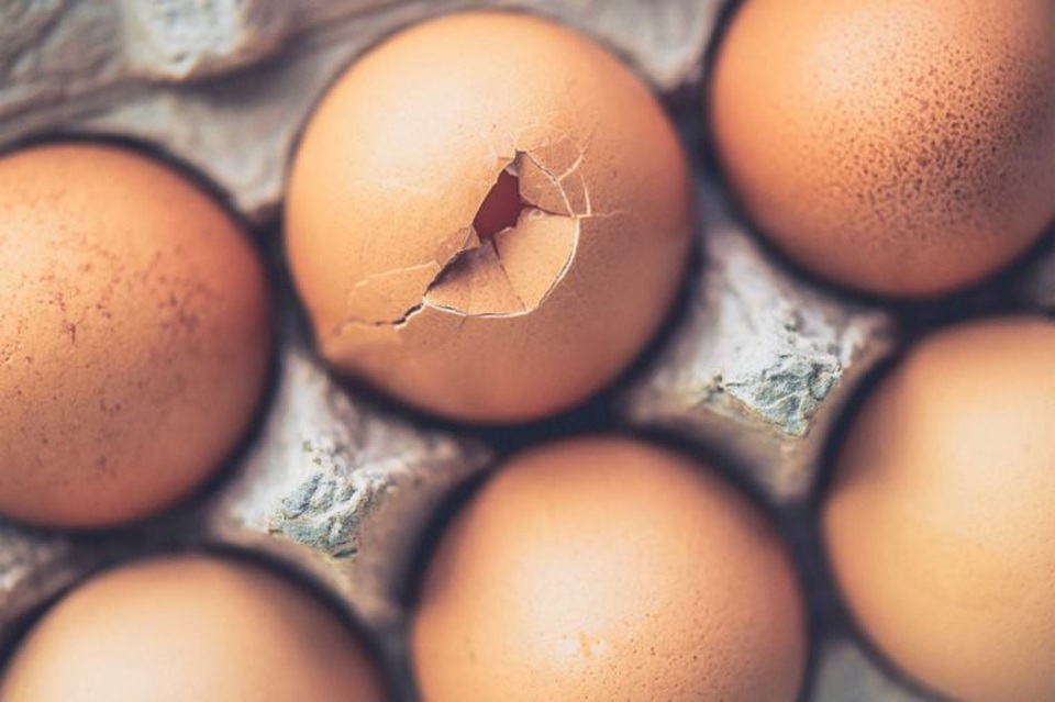 11 thực phẩm tốt nhất cho bệnh nhân hóa trị - 10 11 thực phẩm tốt nhất cho bệnh nhân hóa trị - 10