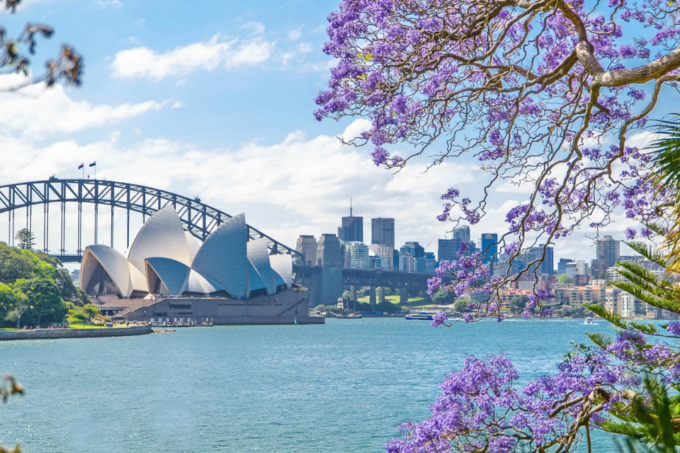 Vi vu châu Úc với giá “giật mình” - 3 Quyến rũ màu phượng tím Sydney