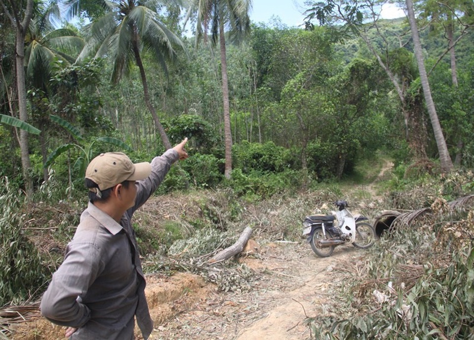 Bình Định: Chủ rừng phải “đóng phí” đường nông thôn mới để được vận chuyển keo? - 3 Anh Chấn cho rằng, ông Tân tự ý mở đường chứ anh không thống nhất vì đường trước đây gia đình anh vẫn đi bình thường.