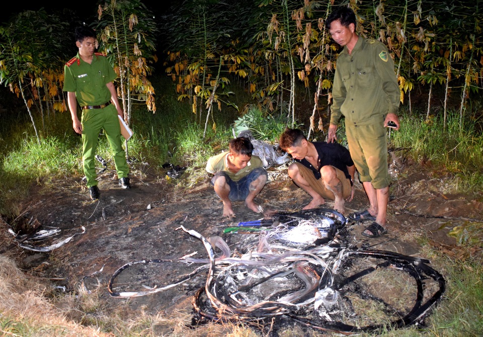 Hai đối tượng cắt trộm cáp viễn thông bị Công an huyện Thăng Bình tạm giữ