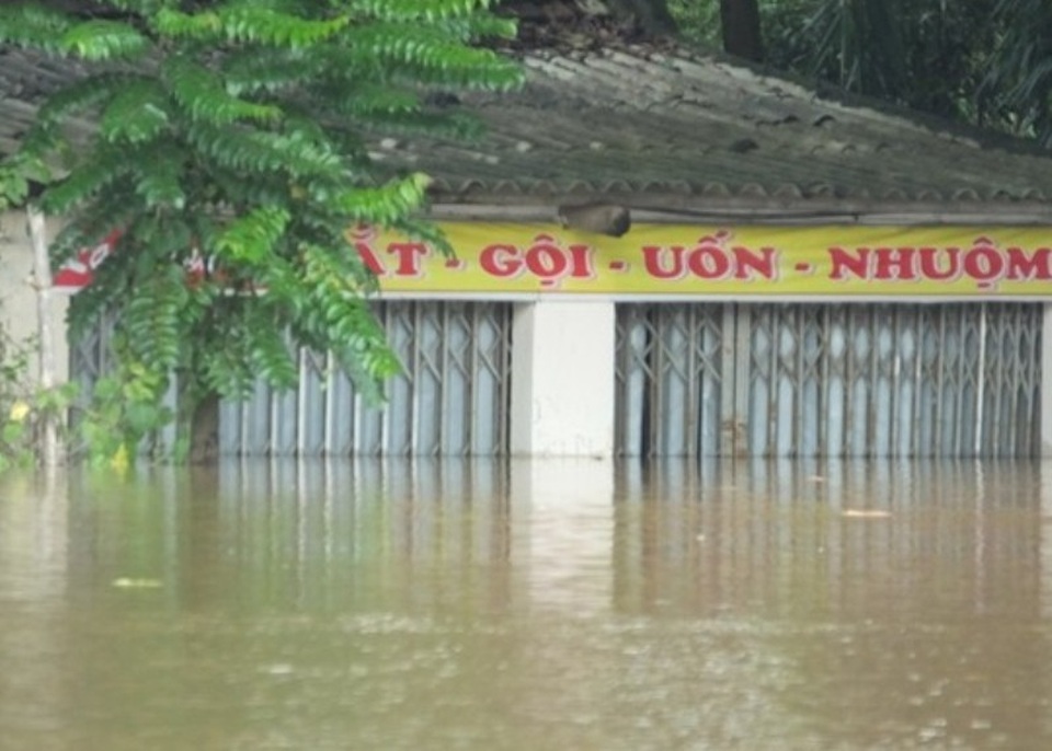 Nước dâng cao gần nóc nhà, hàng trăm gia đình nháo nhào chạy lũ - 14
Hàng trăm hộ dân của các xã Thành Trực, Thành Kim, Thành Thọ, Thành Mỹ, Thạch Định nước đã dâng lên nửa nhà