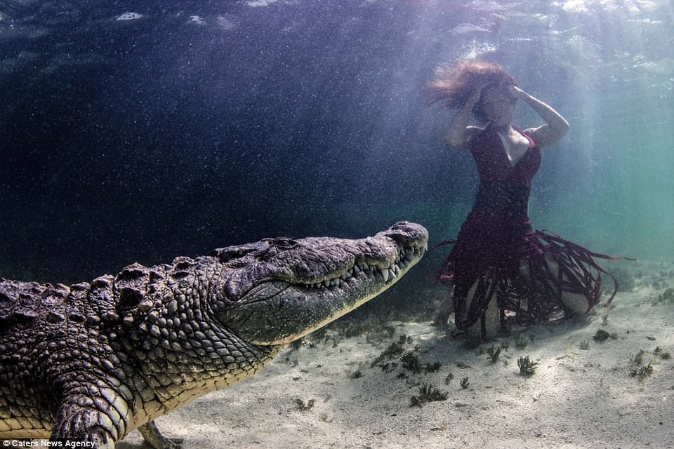 Bộ ảnh không sử dụng những biện pháp đánh lừa thị giác.