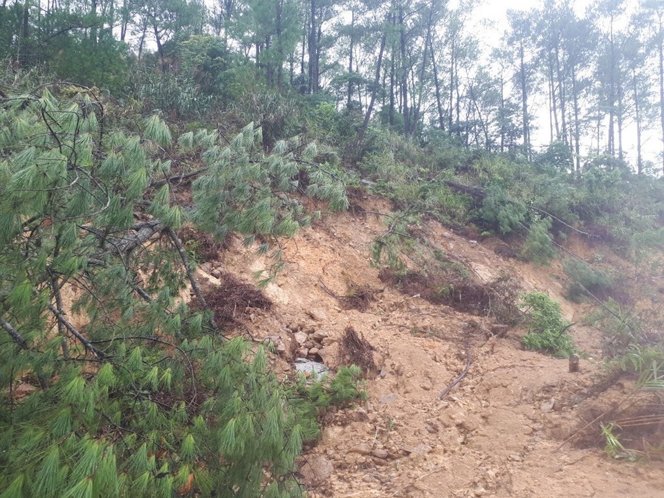 Sạt lở nghiêm trọng đường lên ngôi chùa lớn nhất xứ Nghệ! - 3 Sạt lở nghiêm trọng đường lên ngôi chùa lớn nhất xứ Nghệ! - 3