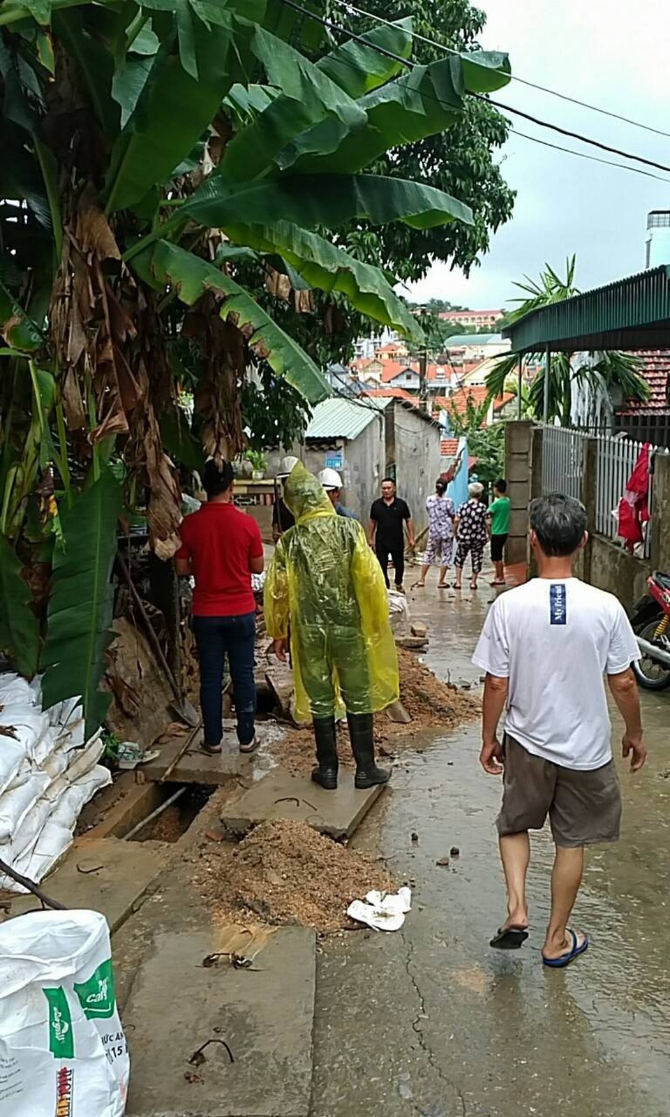 Quảng Ninh: Cách xử lý của chủ đầu tư dự án Monaco sau bão số 3 khiến hàng trăm hộ dân yên tâm - 4 Nhân viên công ty luôn túc trực để khắc phục hậu quả kịp thời