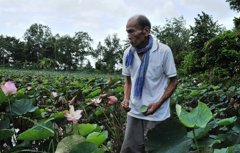 
Đại tá phi công anh hùng nay vui vầy bên đồng ruộng...
