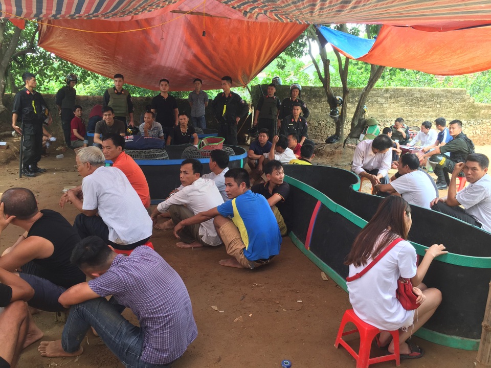 Hiện trường sới đá gà cá độ bị các lực lượng chức năng tỉnh Bắc Giang bắt giữ