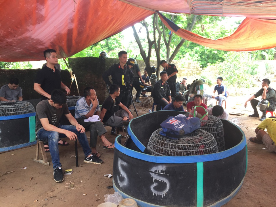 Bắt giữ hơn 60 đối tượng đang say sưa đá gà và hơn 400 triệu đồng - 2