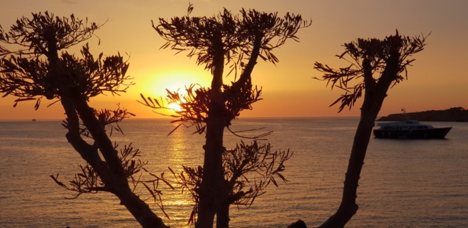 Ánh sáng tuyệt đẹp của buổi rạng đông cũng được thể hiện trong phiên bản mới nhất Galaxy S9/S9+ Sunrise Gold – cái tên mang ý nghĩa khung “giờ vàng” - khi những tia nắng đầu tiên của ngày mới bắt đầu lan tỏa khắp bầu trời.