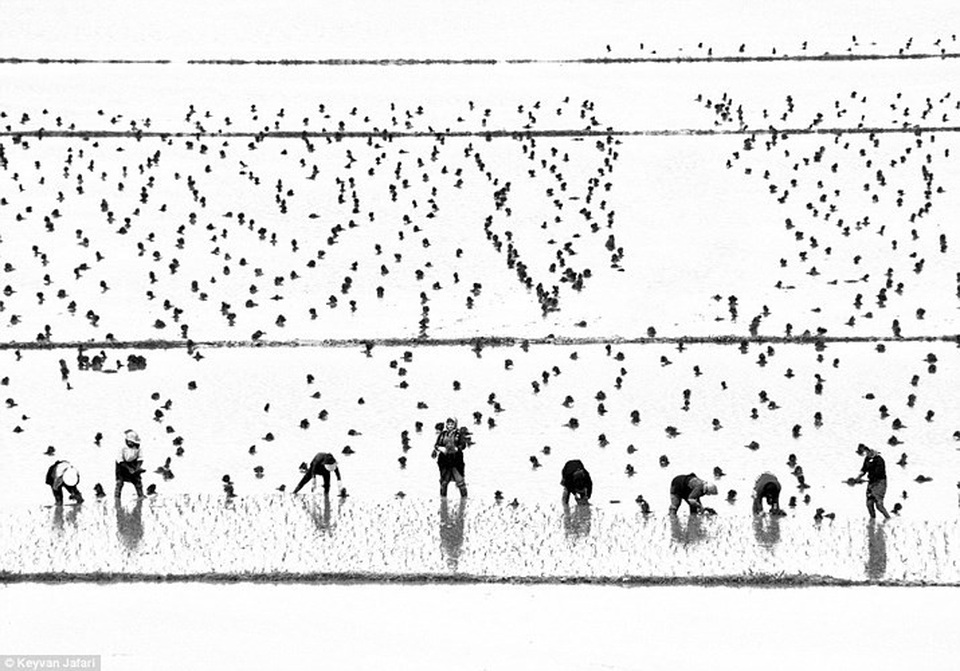 Chiêm ngưỡng những bức ảnh ấn tượng chụp từ trên cao - 10 Chiêm ngưỡng những bức ảnh ấn tượng chụp từ trên cao - 10