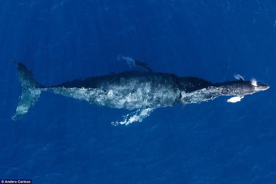 Chiêm ngưỡng những bức ảnh ấn tượng chụp từ trên cao - 7 Chiêm ngưỡng những bức ảnh ấn tượng chụp từ trên cao - 7