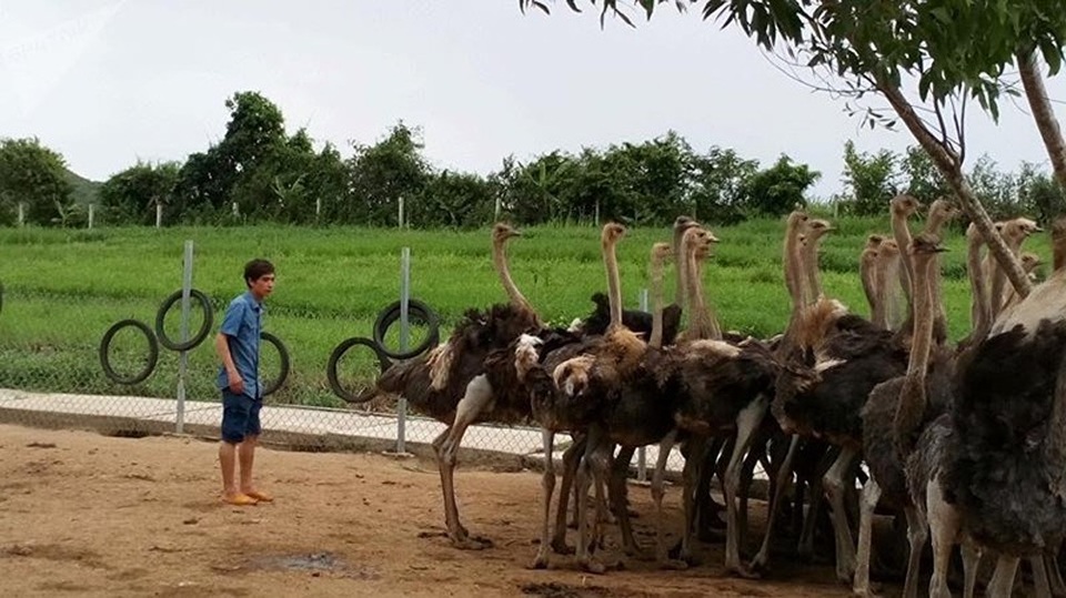 MC điển trai của VTV4 tạm nghỉ dẫn chương trình để làm... nông dân - 5 MC điển trai của VTV4 tạm nghỉ dẫn chương trình để làm... nông dân - 5