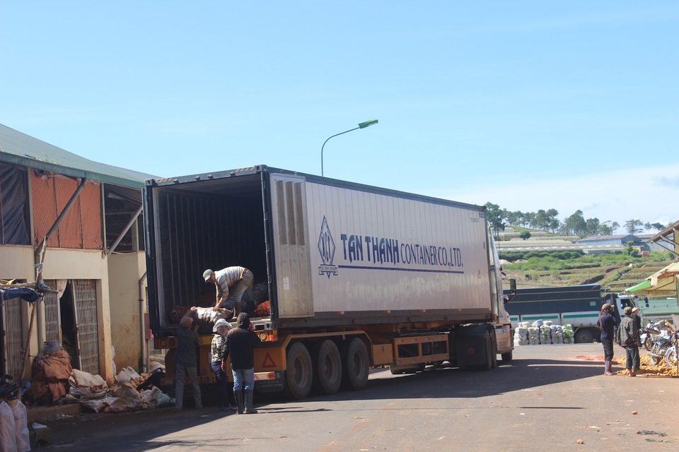 Rau quả Đà Lạt bị ép giá vì hàng Trung Quốc giả danh - 1
Nhiều tấn nông sản Trung Quốc được nhập về chợ nông sản Đà Lạt.