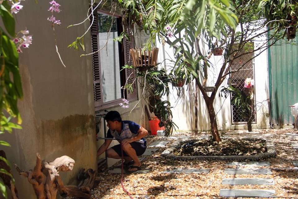 "Đội" nắng nóng cứu những vườn lan tiền tỉ - 10
Là một người đam mê lan, anh Trần Đình Phong, chủ vườn lan trị giá hàng trăm triệu đồng cũng đang đứng ngồi không yên trước cái nóng như thiêu đốt ở miền Trung. 12h trưa, anh Phong không chợp mắt sau buổi làm việc mệt mỏi ở cơ quan, mà tập trung vào việc làm mát vườn lan trước cái nóng bủa vây.