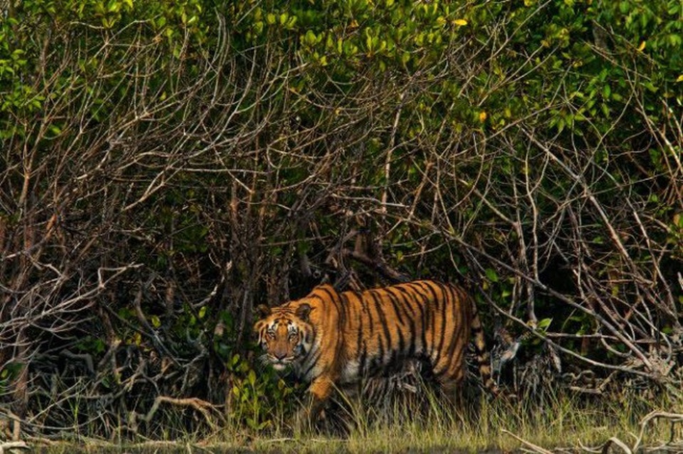 Những tour du lịch Châu Á hấp dẫn nhất, không thể bỏ qua trong năm nay - 16