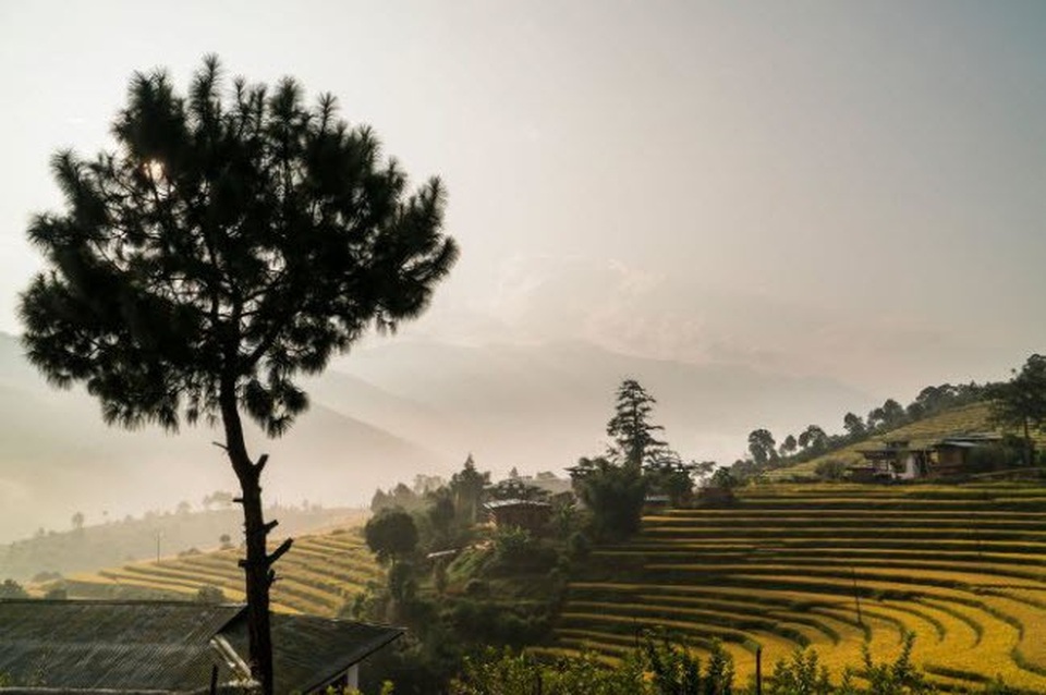 Những tour du lịch Châu Á hấp dẫn nhất, không thể bỏ qua trong năm nay - 5