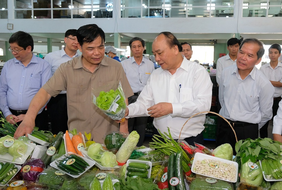 Thủ tướng: Xoài Sơn La đâu kém xoài Nhật, hoa quả Việt ngon thua gì Thái Lan! - 1 Thủ tướng thăm quan mô hình trồng rau sạch tại Lâm Đồng