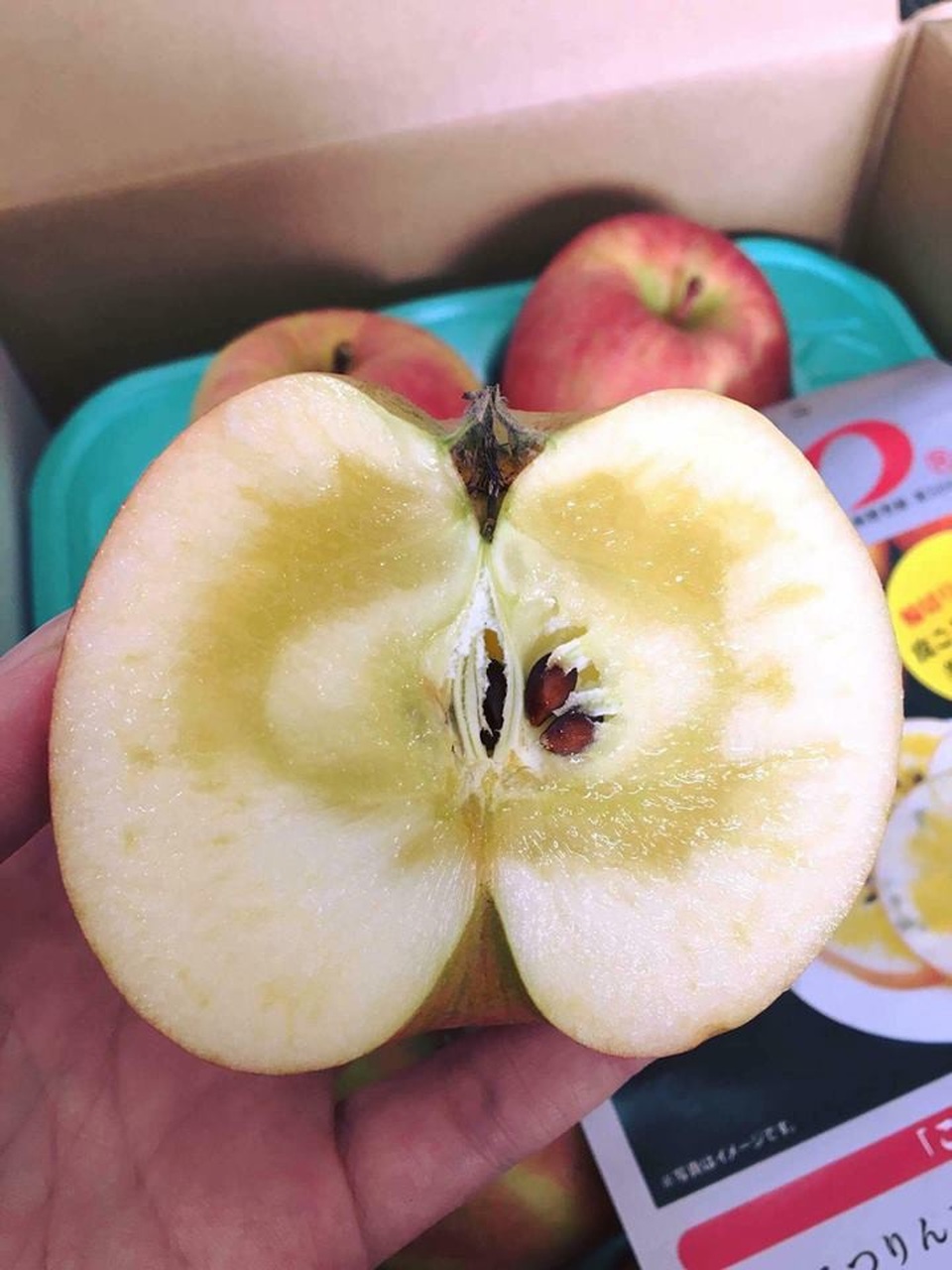 "Cơn sốt" táo mật Nhật Bản giá cả triệu đồng/kg: Dân Việt đổ xô mua - 9 "Cơn sốt" táo mật Nhật Bản giá cả triệu đồng/kg: Dân Việt đổ xô mua - 9