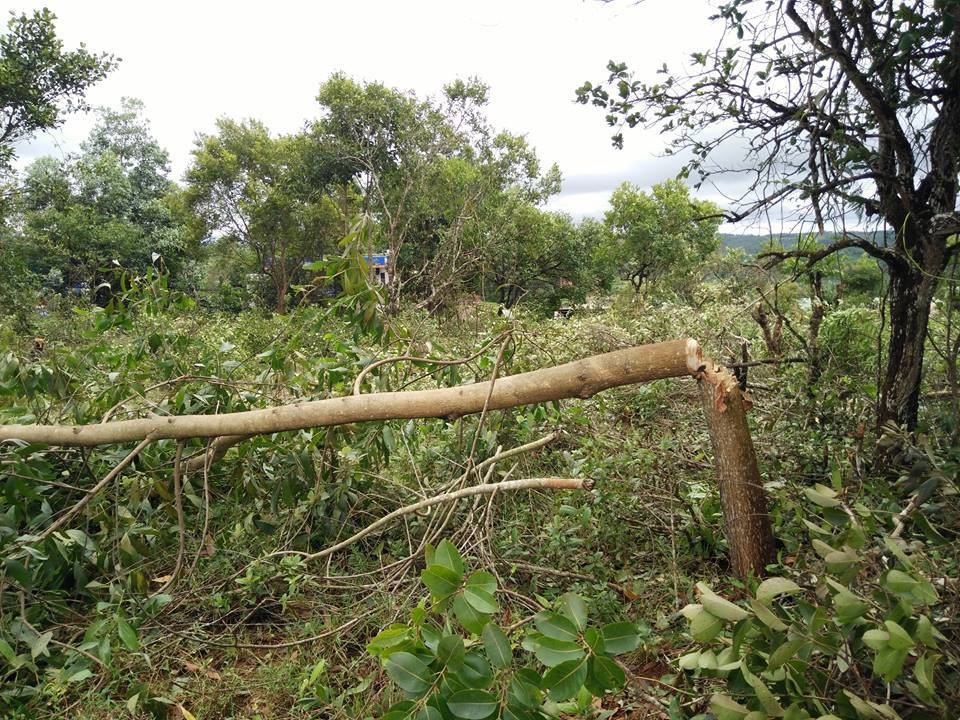 Cán bộ và người nhà “bỗng dưng” được cấp sổ đỏ trên đất quốc phòng - 2 Những diện tích được cấp là đất quốc phòng, có vị thế khá đẹp