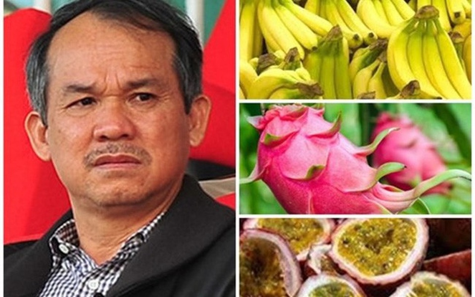 Kinh doanh sụt lãi 90%, bầu Đức vẫn có quyền vui vì “nhẹ gánh nợ” - 1 Chỉ trong 1 quý thu hơn 930 tỷ đồng từ bán trái cây, song HAGL vẫn giảm lãi mạnh so với cùng kỳ