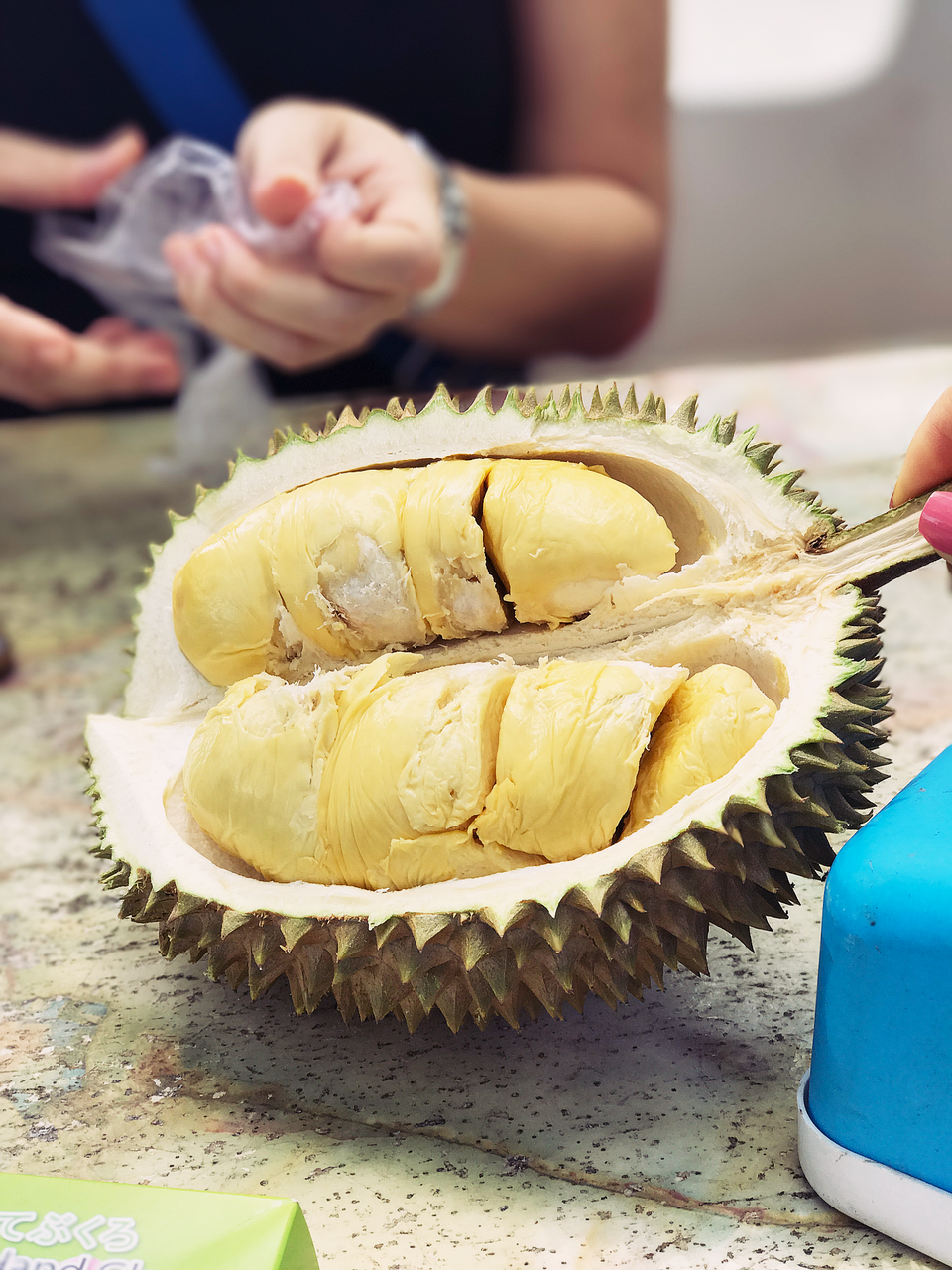 
Sầu riêng Malaysia luôn thu hoạch khi đã chín muồi thậm chí rụng xuống. Có chính thức 134 giống sầu riêng đăng ký với chính phủ, đánh số D1-D200, loại sầu riêng phổ biến nhất ở Malaysia là Musang King, D24 và Red Prawn. Giá sầu riêng Malaysia năm nay khá rẻ, chừng 250 nghìn VNĐ/kg
