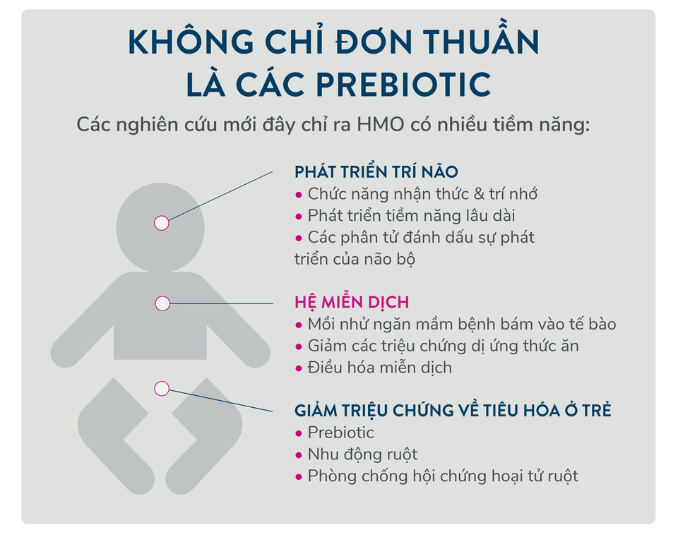 Bổ sung HMO vào sữa: “Cải tiến của thập kỉ" được vinh danh ở Mỹ - 2 Bổ sung HMO vào sữa: “Cải tiến của thập kỉ" được vinh danh ở Mỹ - 2