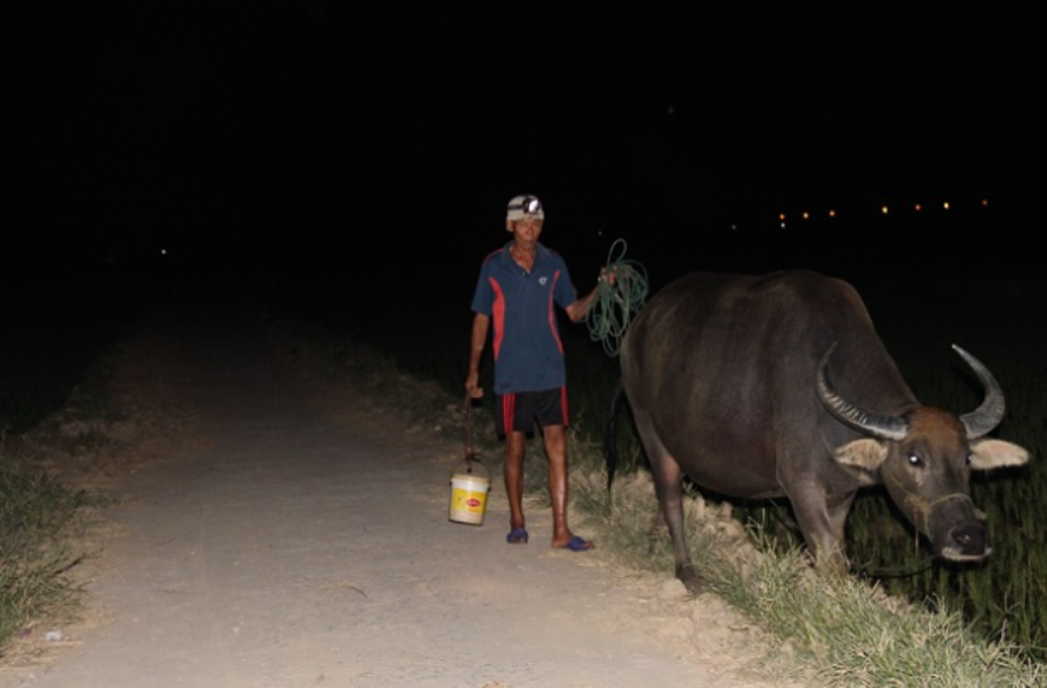 
Việc sản xuất vào ban đêm không làm xáo trộn cuộc sống của người dân
