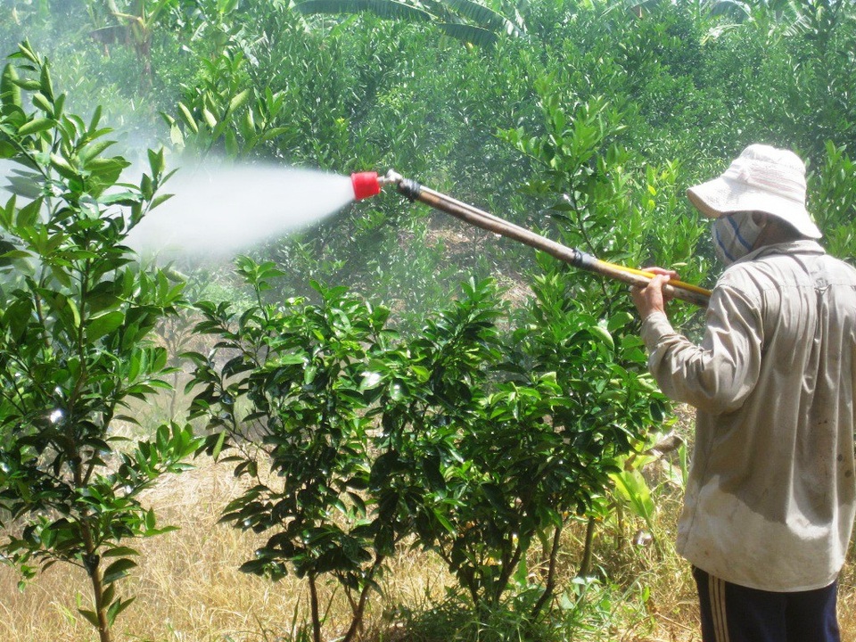 Doanh nghiệp sản xuất phân thuốc giả tung chiêu “vỏ ngoại, ruột nội”... hại nông dân - 2 Đa phần các DN sản xuất phân bón giả sử dụng chiệu vỏ ngoại, ruột nội để đánh lừa nông dân. Khi bà con nông dân sử dụng loại phân thuốc giả này vừa làm tăng chi phí vừa ảnh hưởng đến môi trường.