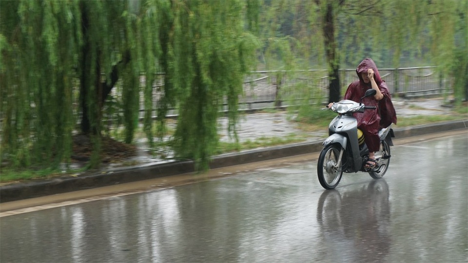 Trận mưa vàng hạ nhiệt "chảo lửa" Hà Nội - 2 Trận mưa vàng hạ nhiệt "chảo lửa" Hà Nội - 2