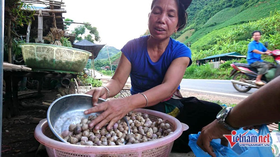 Cung đường đèo Tây Bắc sực nức mùi tỏi tươi - 2 Bà Lửa bán tỏi bên lán trại đơn sơ ven quốc lộ
