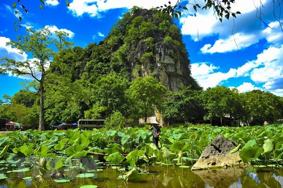 Ngắm Tam Cốc - Bích Động đẹp như tranh trong mùa sen - 2 Ngắm Tam Cốc - Bích Động đẹp như tranh trong mùa sen - 2
