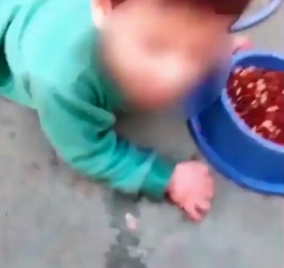Học không giỏi, con bị mẹ bắt ăn thức ăn của chó - 2 Cậu bé nằm phủ phục trên nền đất, cúi đầu ăn thức ăn cho chó