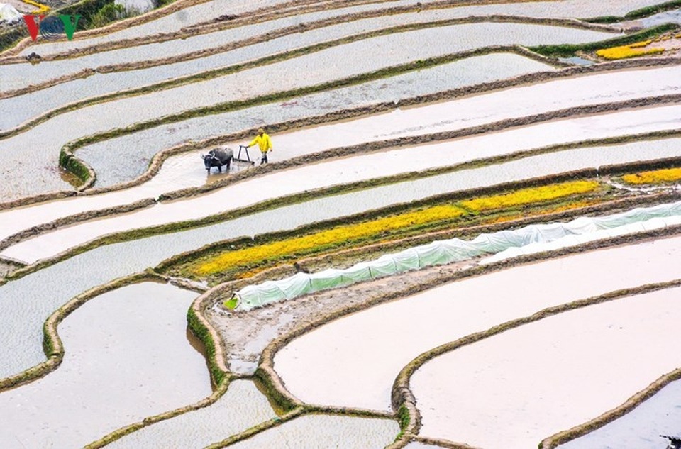 Những “ô màu” Tây Bắc không thể bỏ qua mùa nước đổ - 7
Huyện Hoàng Su Phì của Hà Giang cũng là “thiên đường” mùa nước đổ với những thửa ruộng chen giữa các sườn núi dốc đứng, tạo nên khung cảnh hết sức kỳ vĩ.