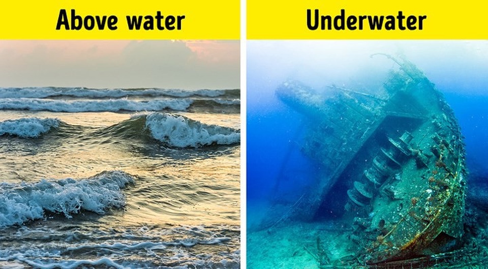 Sự thật về Ấn Độ khiến bạn hối tiếc nếu không tới đất nước này - 8