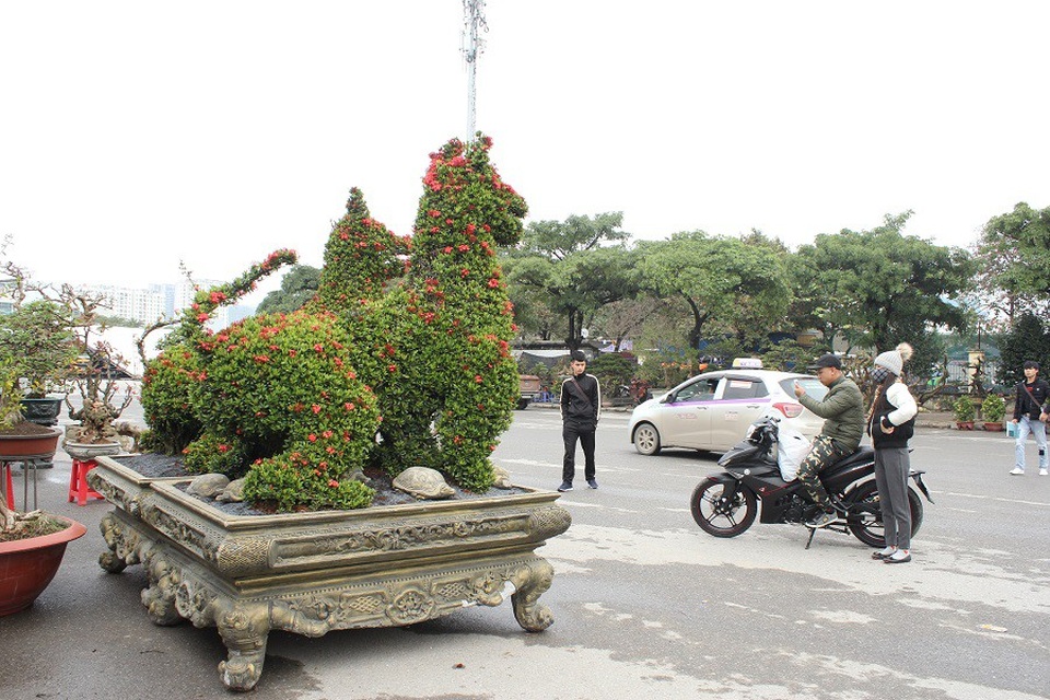 Phát sốt với cặp kiểng “khổng lồ” hình linh vật chó giá 300 triệu đồng - 6 Sự độc đáo, đẹp mắt của cặp kiểng thu hút sự chú ý của nhiều khách tham quan.