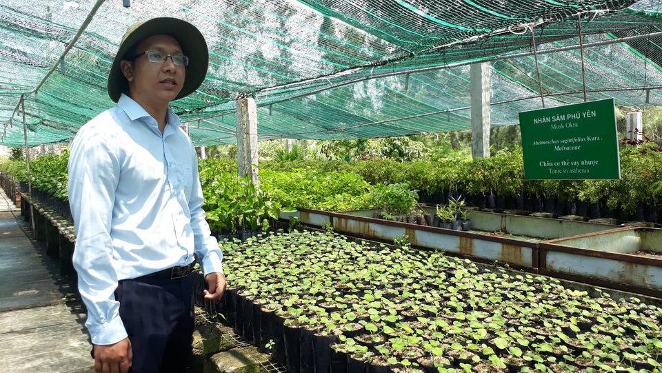 Dùng lạc tiên tây đúng cách để trị chứng mất ngủ - 1
Theo Dược sĩ Nguyễn Thanh Xuân: Nếu rối loạn lo âu khiến mất ngủ do trầm cảm mà lại dùng thuốc an thần càng khiến nặng hơn.