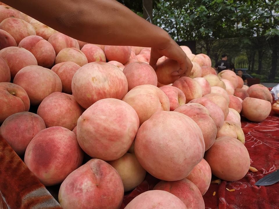 Đào Tiên khổng lồ 50 nghìn đồng/quả, gây “sốt” thị trường - 1 Đào Tiên được bày bán trên nhiều tuyến phố ở Hà Nội với giá bán từ 60-80 nghìn đồng/kg