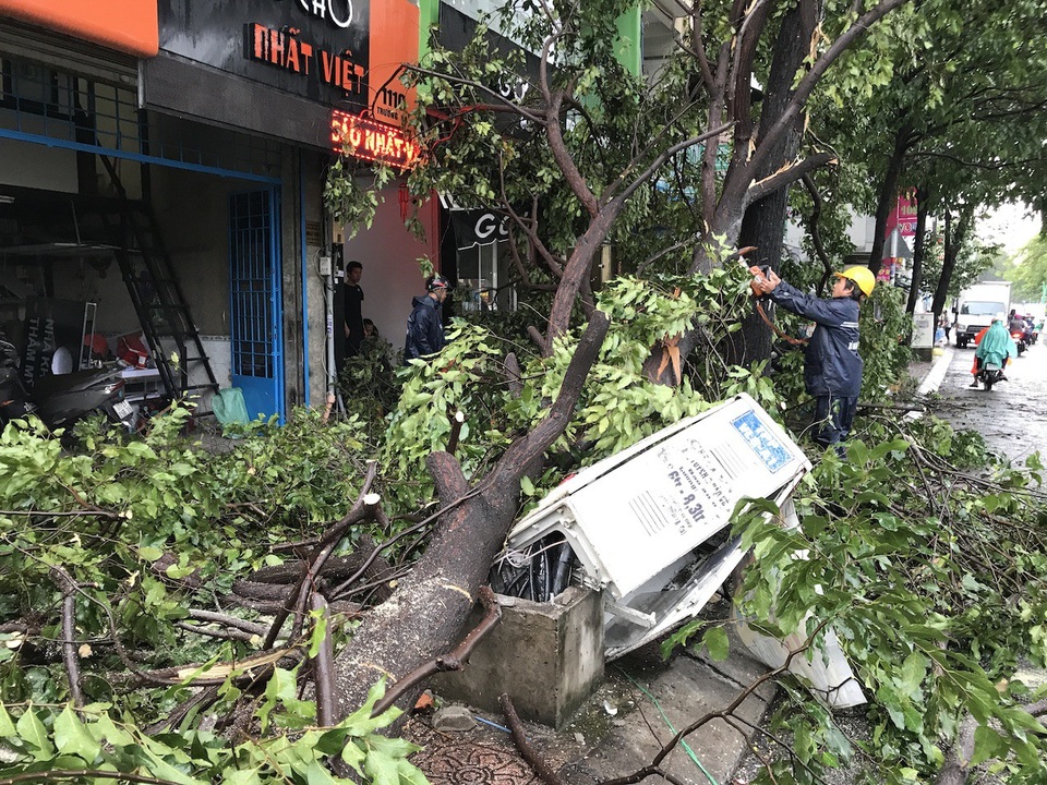 TPHCM: Bảng quảng cáo “khủng” đổ sập trong mưa, đè chết người - 8
Nhiều cây xanh cũng bị đổ trong cơn mưa chiều 10/8