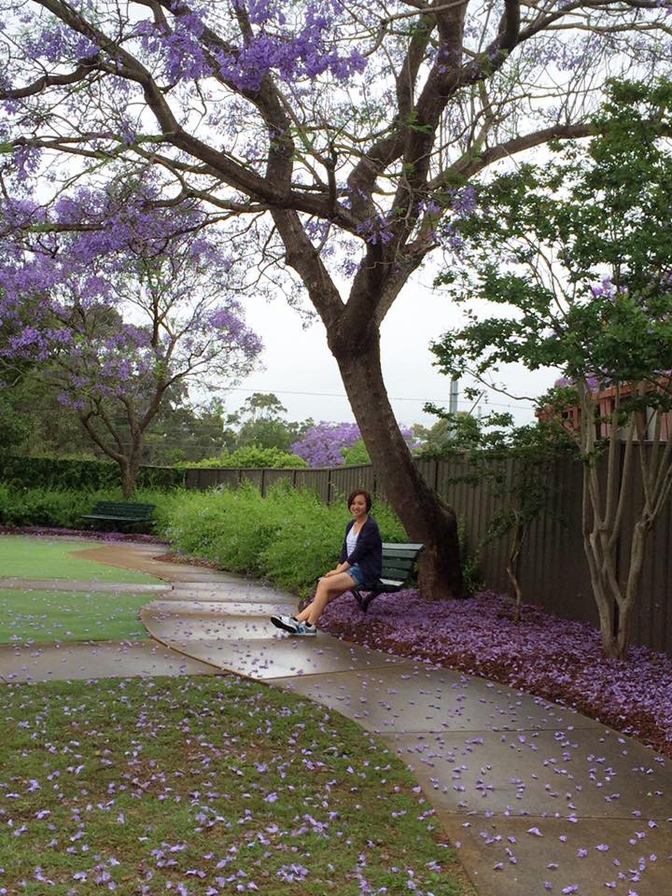 Không có nhiều tiền, du học được không? - 1
Khung cảnh đẹp và lãng mạn với ngập tràn hoa Phượng Tím, Úc