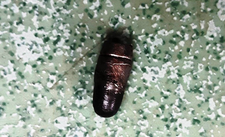 Viên đạn mà hai đối tượng cẩu tặc dùng để bắn người dân.