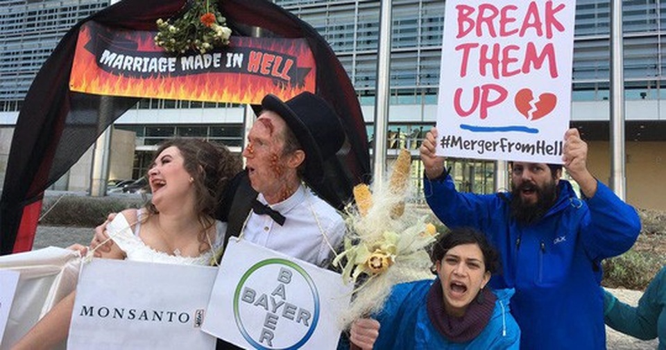 
Phản đối “cuộc hôn nhân” Bayer - Monsanto Ảnh: MEDIUM
