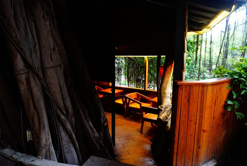 Độc đáo quán cà phê cheo leo trên cây ở Sài Gòn - 6 Bên trong trang trí bàn ghế, lắp đèn vàng tạo cảm giác ấm áp.