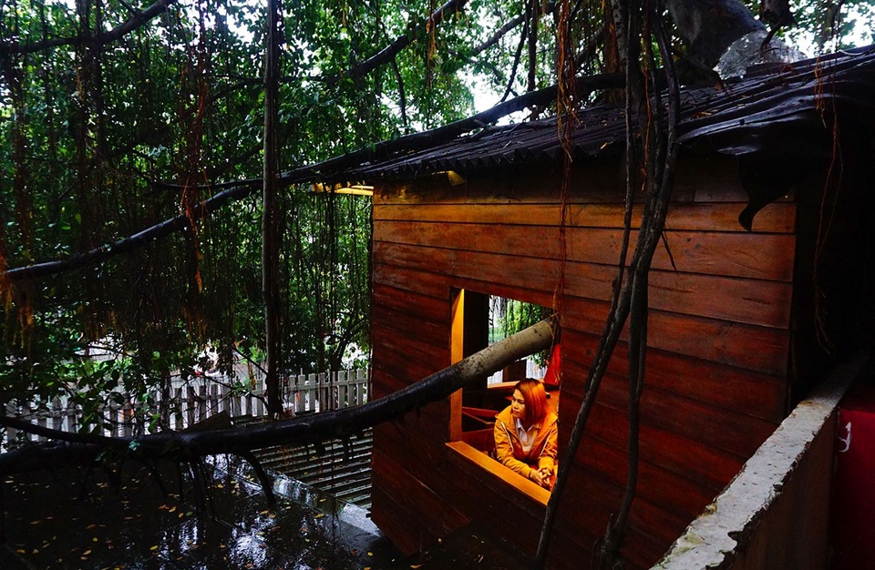 Độc đáo quán cà phê cheo leo trên cây ở Sài Gòn - 9 Độc đáo quán cà phê cheo leo trên cây ở Sài Gòn - 9