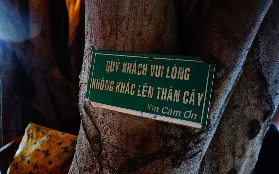 Độc đáo quán cà phê cheo leo trên cây ở Sài Gòn - 15
Nhiều khách thường viết lên thân cây nên quán phải treo bảng nhắc nhở