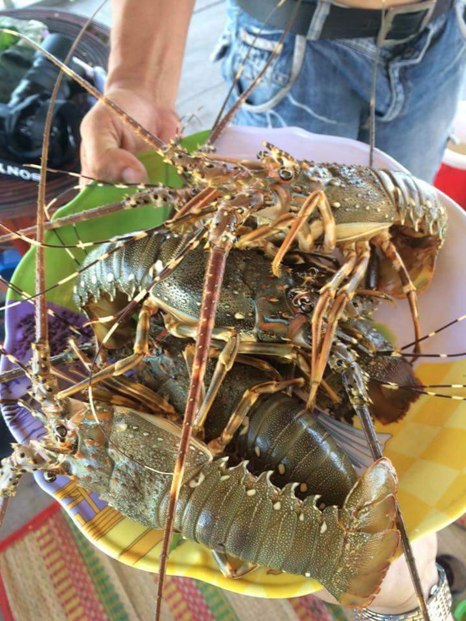 Vẻ đẹp thủy đạo Điệp Sơn, nơi không khuyến khích phát triển du lịch - 3