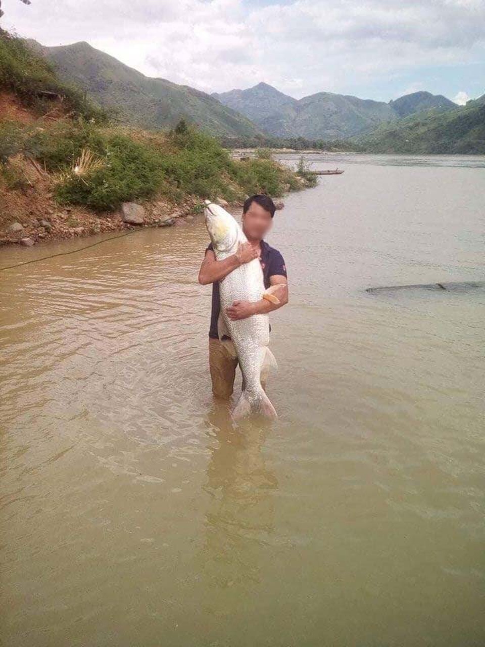 Điểm danh những "thủy quái" khổng lồ mắc lưới ngư dân Việt - 7 Ngư dân đánh bắt được con cá măng trên sông Đà.