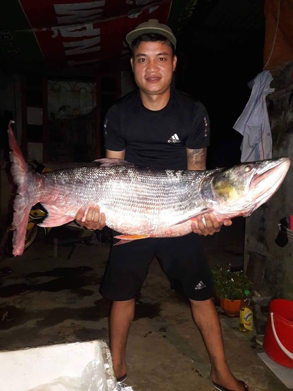 Điểm danh những "thủy quái" khổng lồ mắc lưới ngư dân Việt - 9 Cá măng dài hơn 1m
