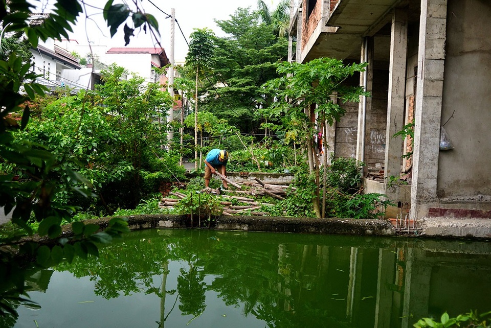 Cận cảnh nhem nhuốc của khu biệt thự bị bỏ hoang gần 10 năm giữa lòng Sài Gòn - 8 Những hồ bơi đọng nước đục ngầu.