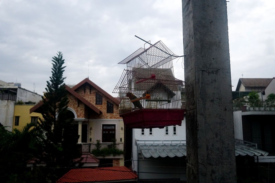 Cận cảnh nhem nhuốc của khu biệt thự bị bỏ hoang gần 10 năm giữa lòng Sài Gòn - 7 Cận cảnh nhem nhuốc của khu biệt thự bị bỏ hoang gần 10 năm giữa lòng Sài Gòn - 7