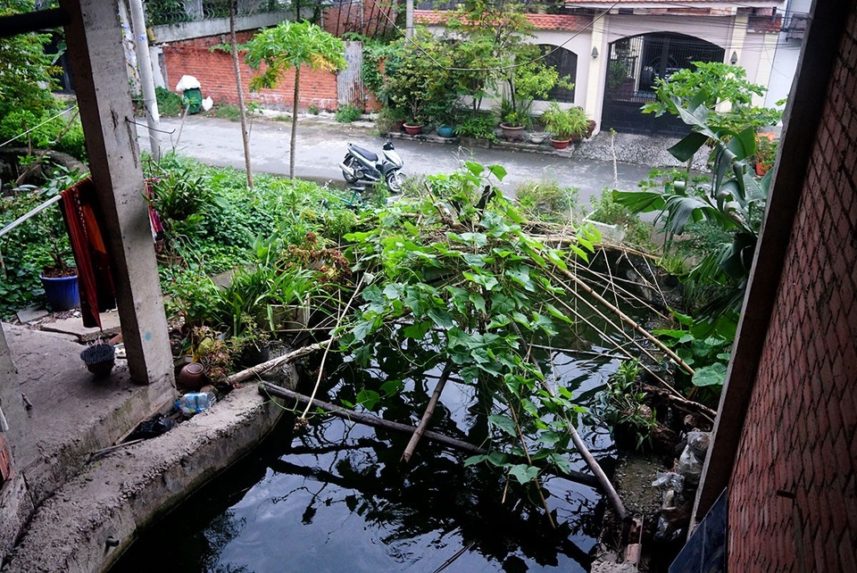 Cận cảnh nhem nhuốc của khu biệt thự bị bỏ hoang gần 10 năm giữa lòng Sài Gòn - 3 Cây cỏ mọc um tùm trước cửa các căn biệt thự.
