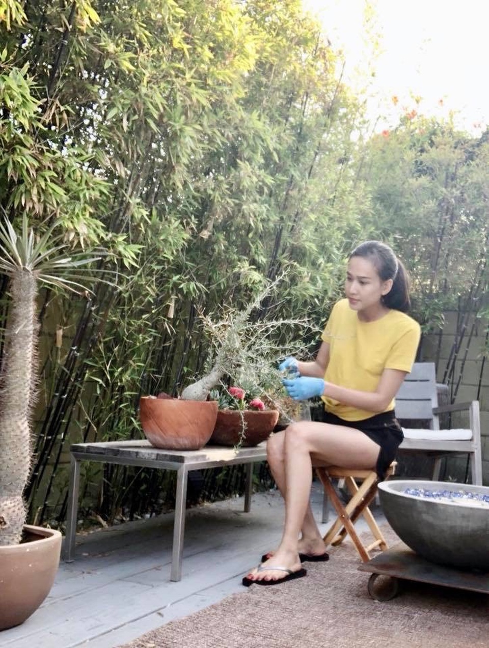 Hoa hậu khá khéo tay, cô tự cắt tỉa cây trong vườn.